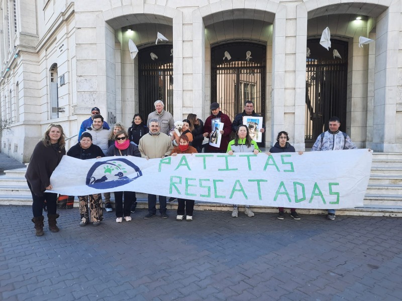 Volvieron a pedir justicia por los perros envenenados